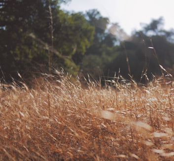 海星体育官方下载-罗马诺：亚特兰大追逐扎莱夫斯基与卢克曼的交易无关，罗马vs亚特兰大