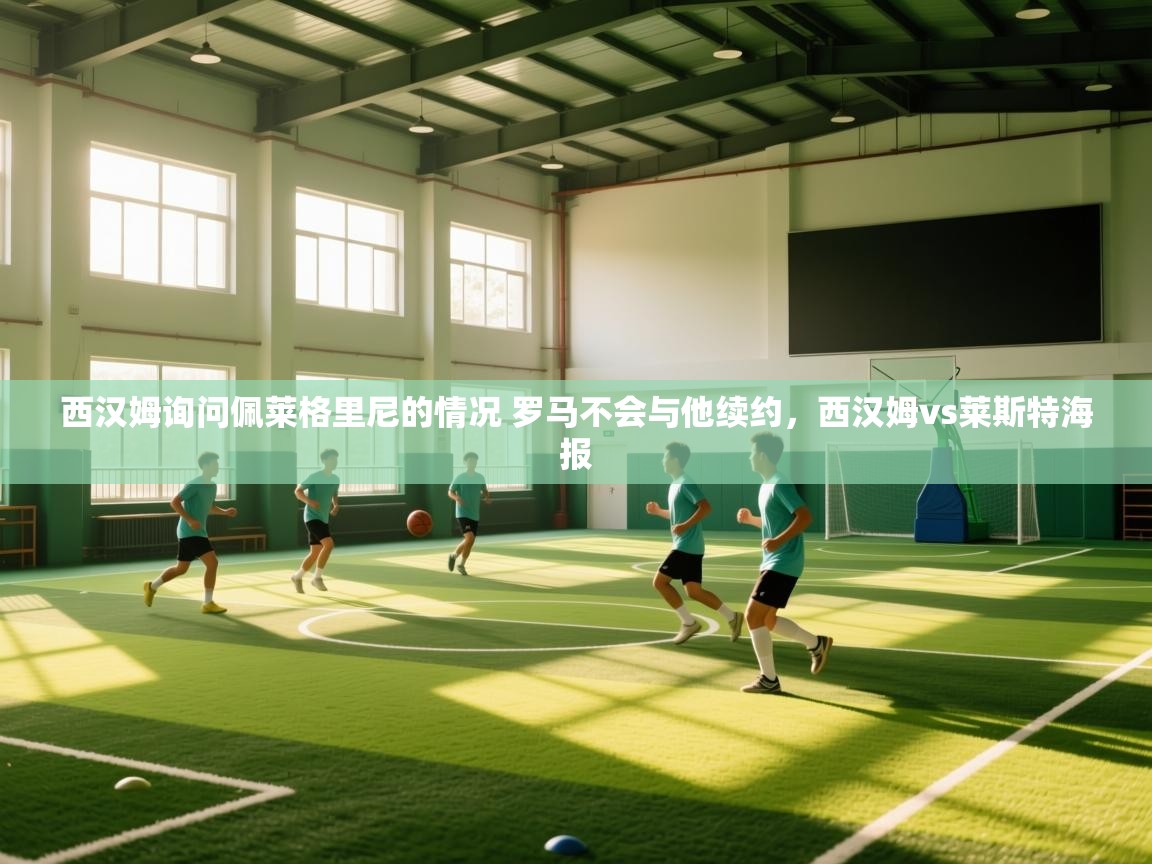 海星体育直播在线观看-高清免费赛事直播平台-海星体育直播-西汉姆询问佩莱格里尼的情况 罗马不会与他续约，西汉姆vs莱斯特海报