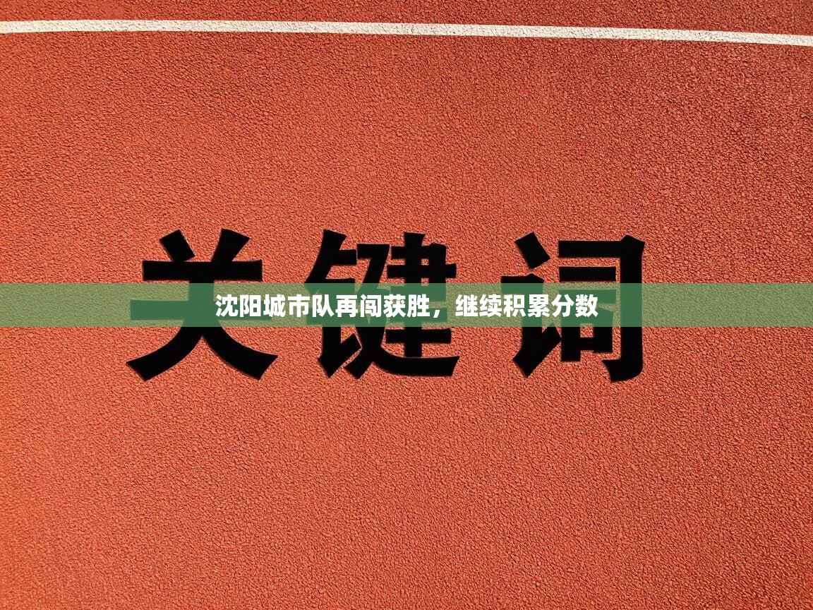 海星体育app下载-沈阳城市队再闯获胜,继续积累分数 第1张