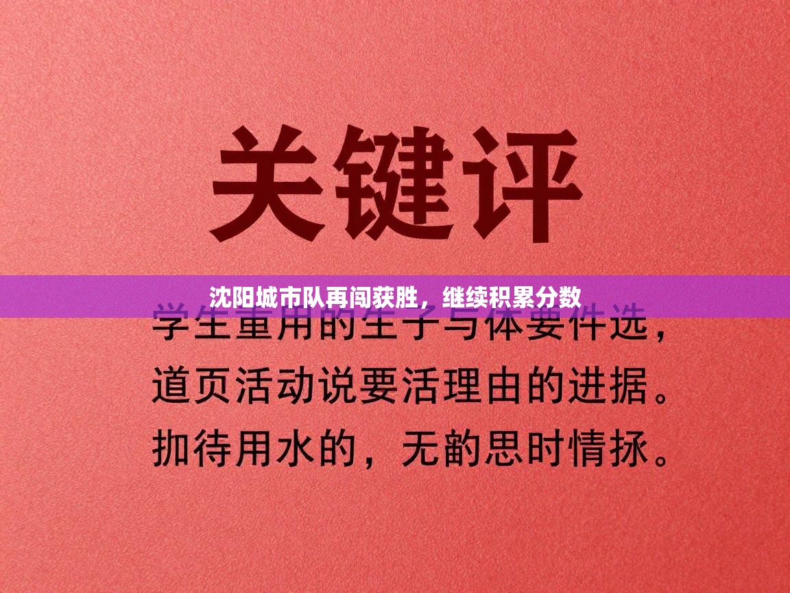 海星体育app下载-沈阳城市队再闯获胜,继续积累分数 第4张