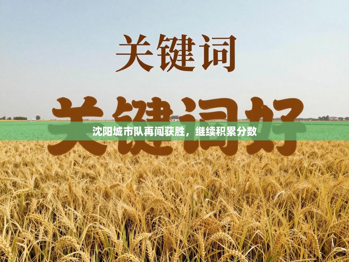 海星体育app下载-沈阳城市队再闯获胜,继续积累分数 第3张