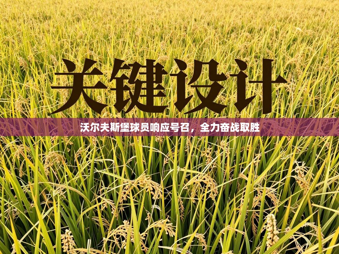 -沃尔夫斯堡球员响应号召，全力奋战取胜