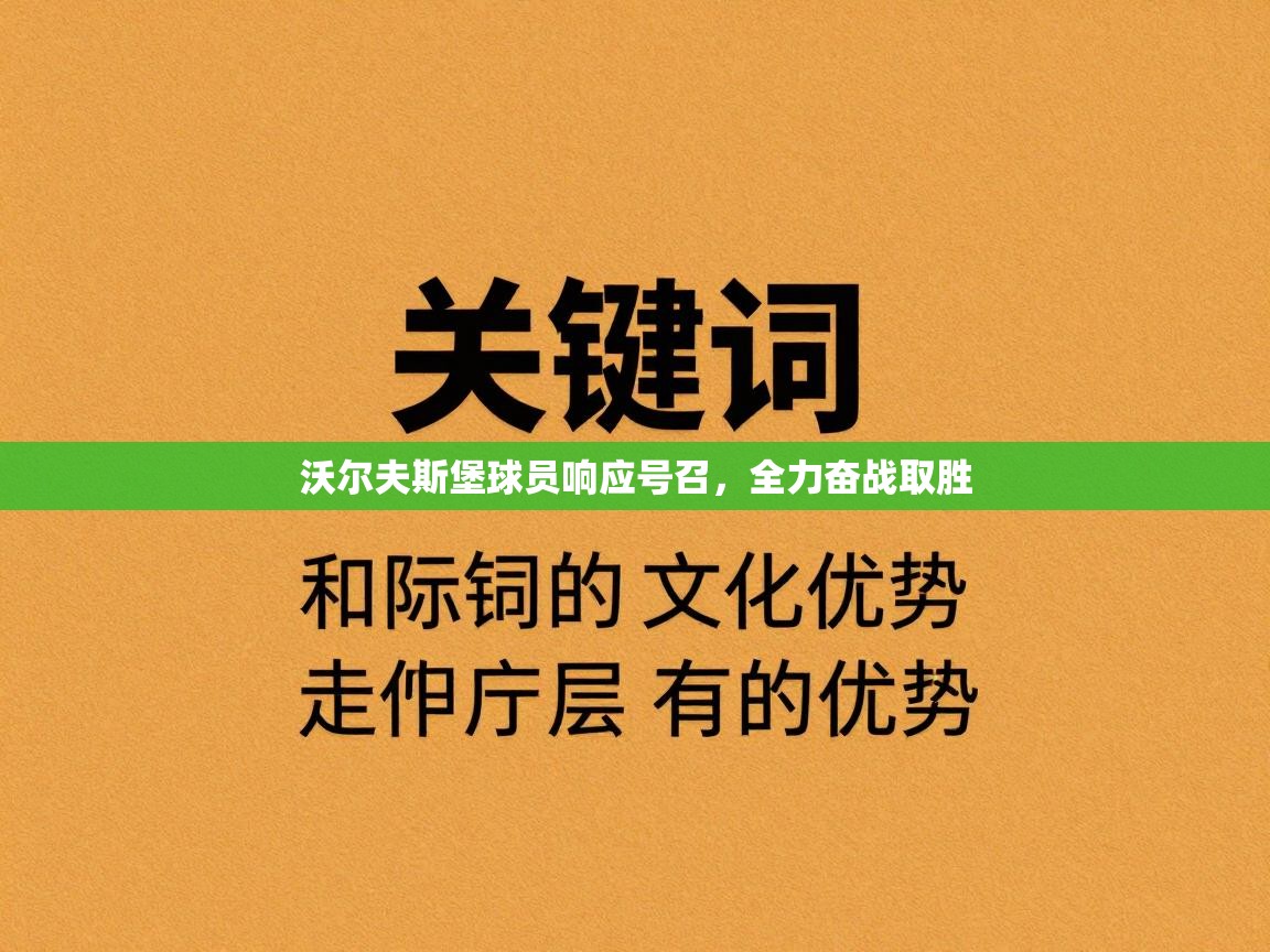 -沃尔夫斯堡球员响应号召,全力奋战取胜 第3张